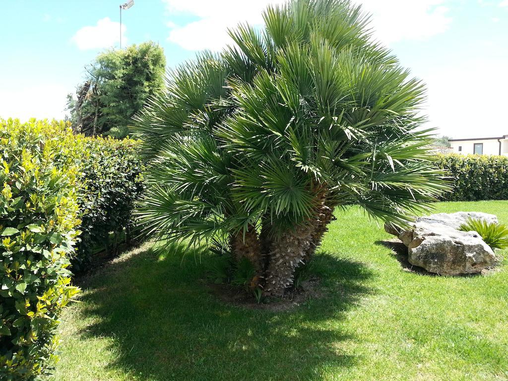 Villa Genny Altamura Bagian luar foto